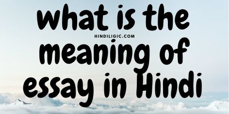 what is the meaning of essay in hindi